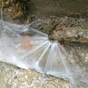 盐都消防管道漏水检测